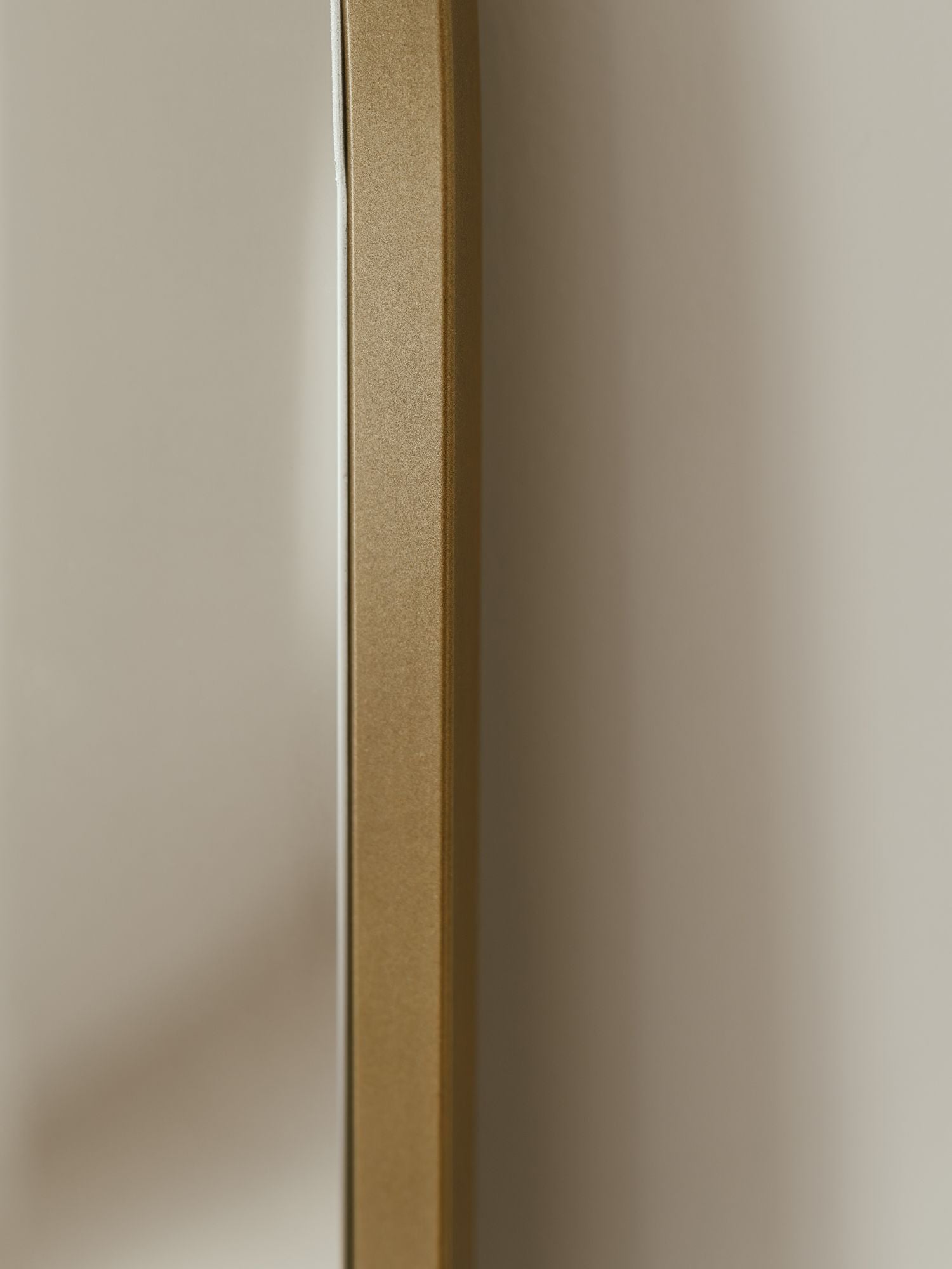 Large Rectangular Standing Mirror 180x100 Gold
